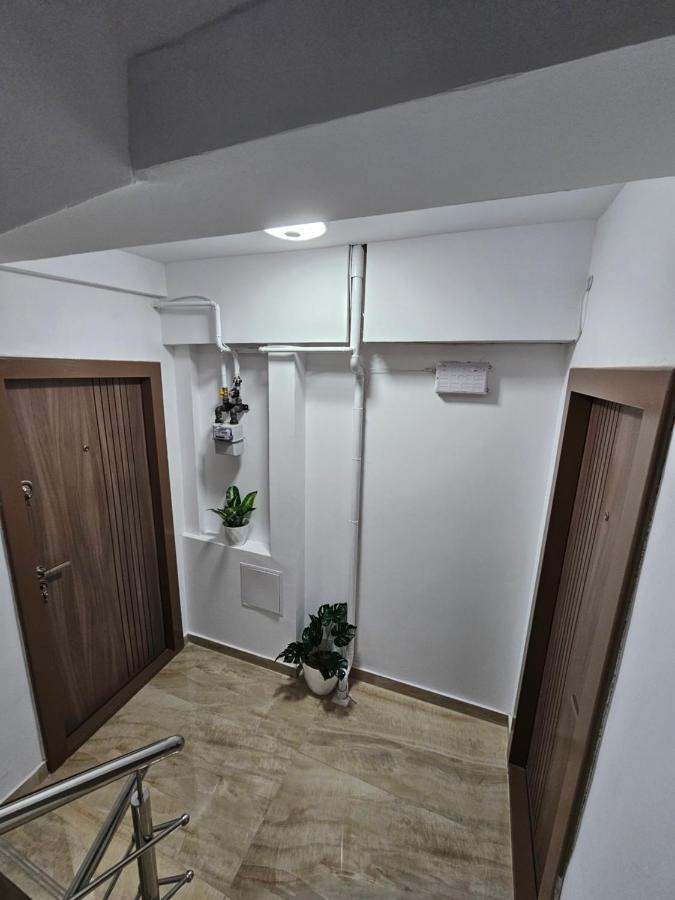Didi Apartament Craiova Bagian luar foto
