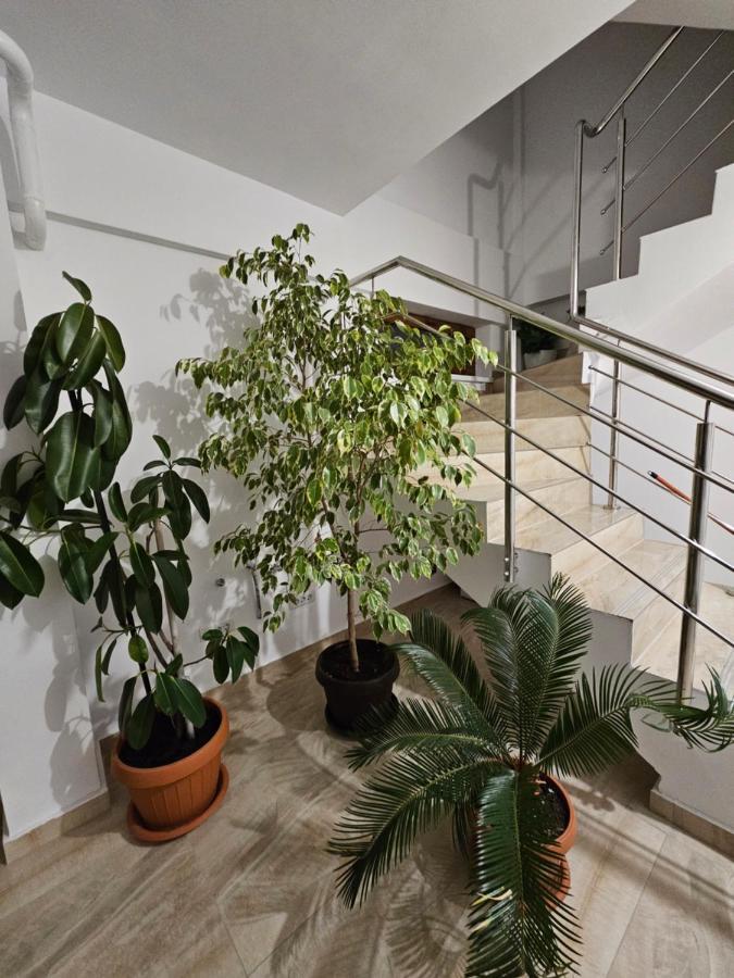 Didi Apartament Craiova Bagian luar foto