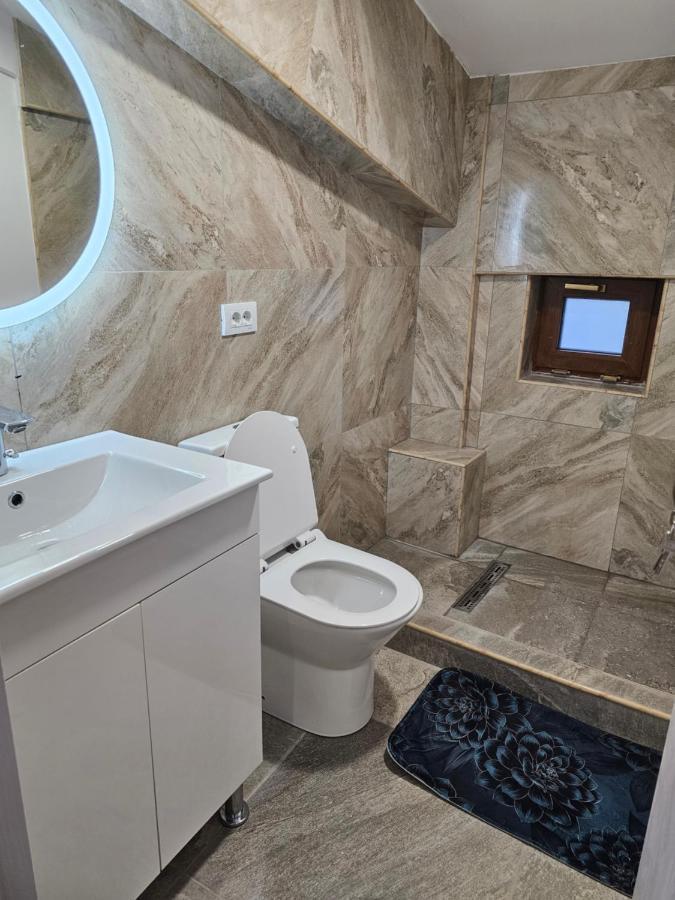 Didi Apartament Craiova Bagian luar foto